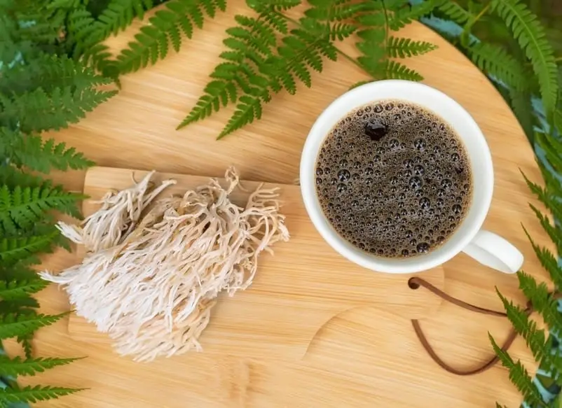 Lion's Mane Mushrooms and cup of coffee