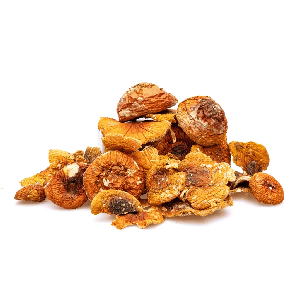 Dried Amanita Muscaria