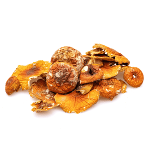 Amanita Muscaria dried mushrooms