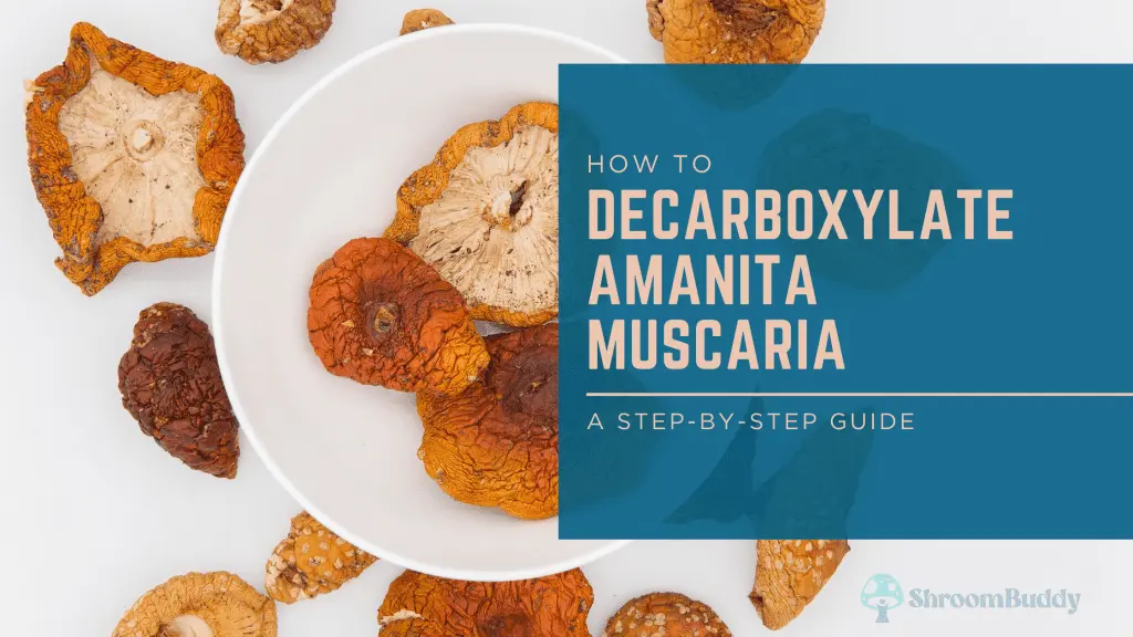 How to Decarboxylate Amanita Muscaria: A Step-by-Step Guide for Safe Preparation